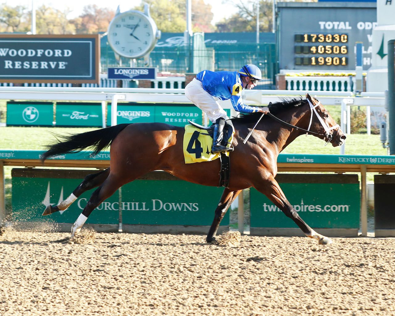 Meet The Contenders 2024 Lecomte Stakes TwinSpires   NASH 11 12 23 R07 Churchill Downs Finish 01 Aad37d9475 