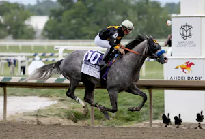 Napoleon Solo wins the 151st Preakness at Laurel Park (Photo by Horsephotos.com)