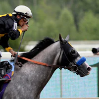 Napoleon Solo winning the Preakness (G1) at Laurel Park