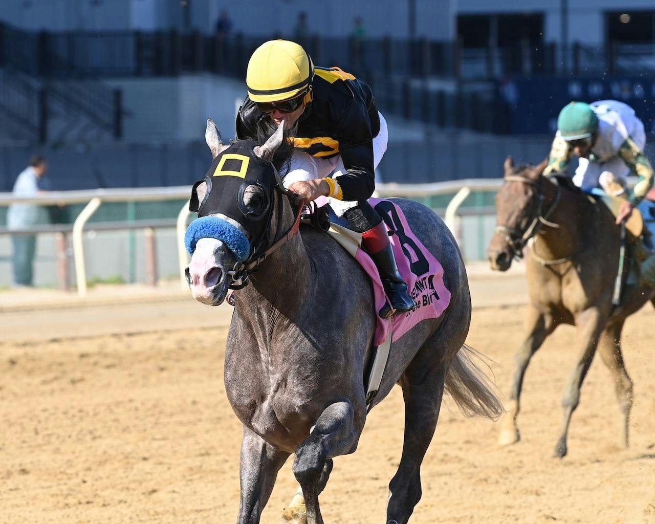 Napoleon Solo wins the Champagne Stakes at Aqueduct. 