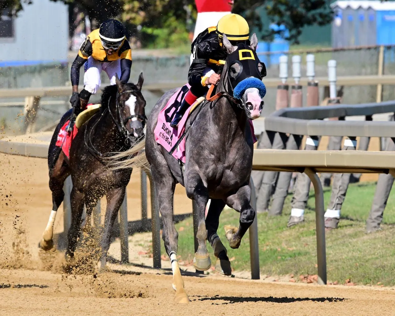 Napoleon Solo wins the Champagne Stakes at Aqueduct. 