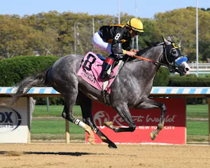 Napoleon Solo put his speed on display in the Champagne Stakes at Aqueduct.