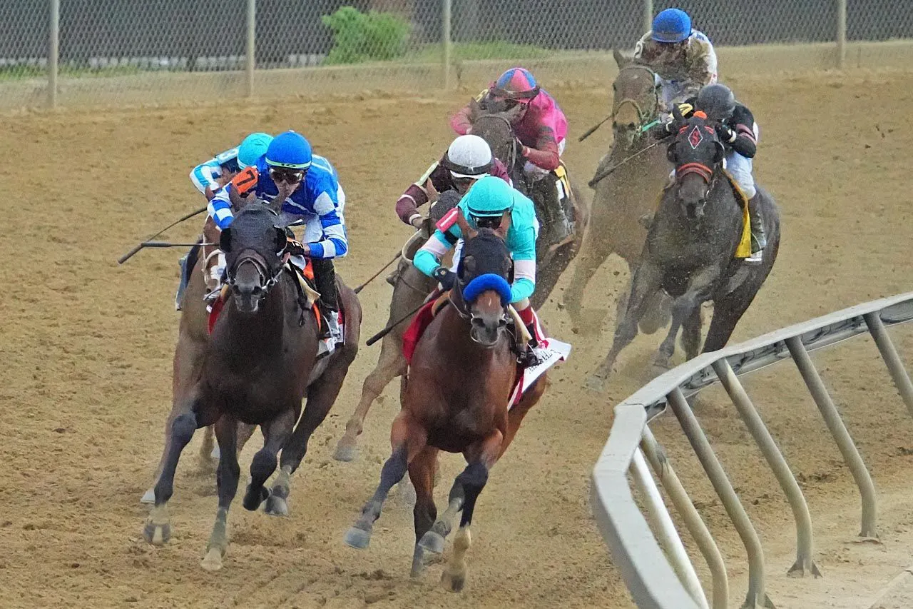 Racing Roundtable: 2023 Preakness edition | TwinSpires