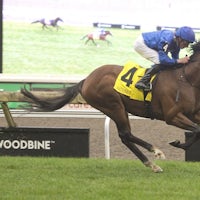 Nations Pride winning the Canadian International (G2) at Woodbine (Photo by Michael Burns Photography)