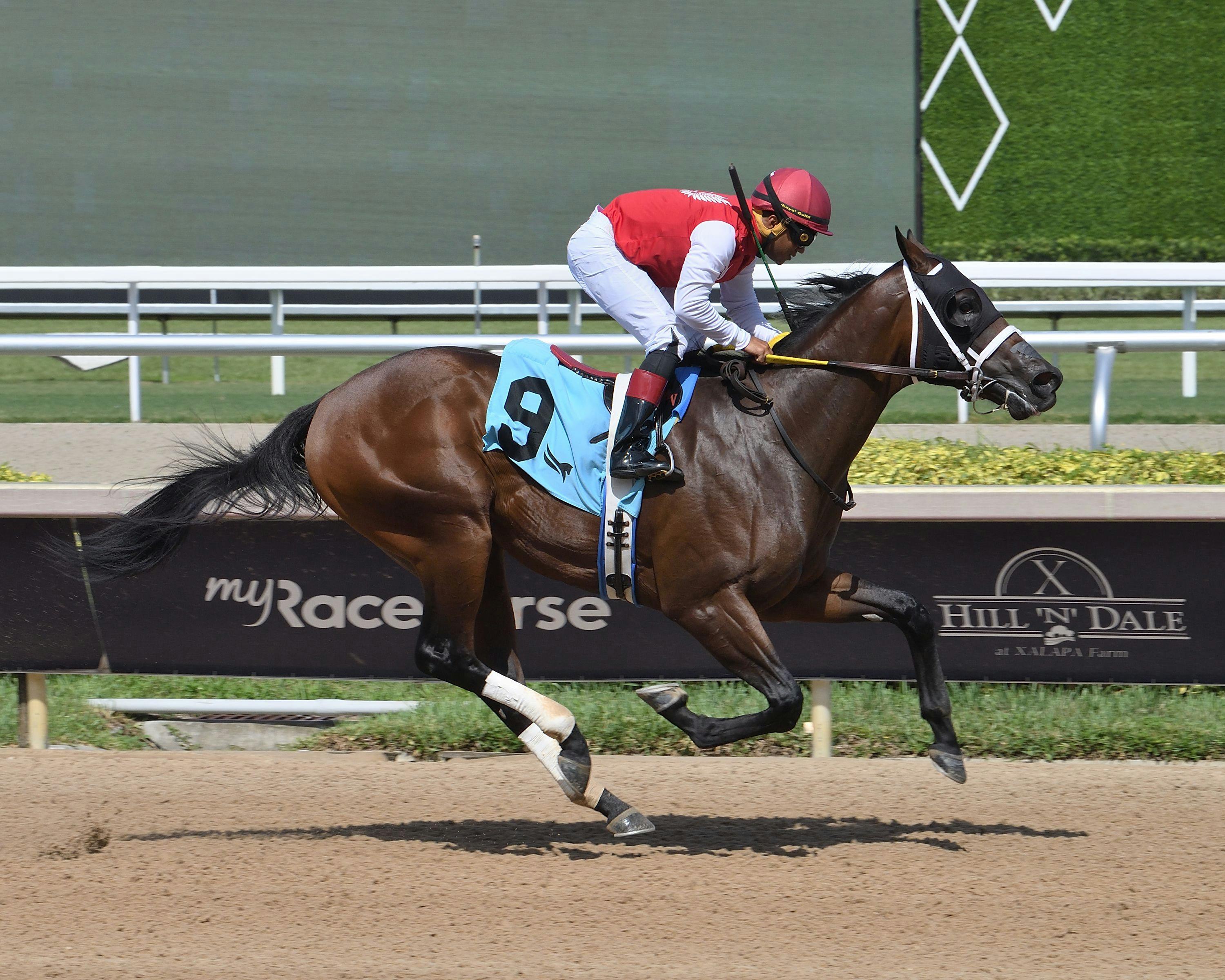 Neoequois wins at Aqueduct. 