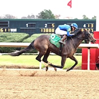 Nerazurri wins at Oaklawn Park.