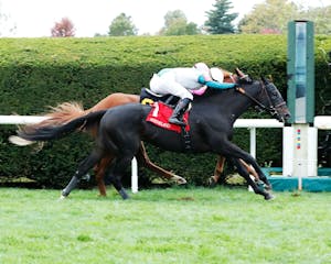 Nineeleventurbo (Photo by Coady Media/Keeneland)