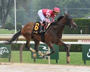 Nitrogen galloped in the off-the-turf Wonder Again