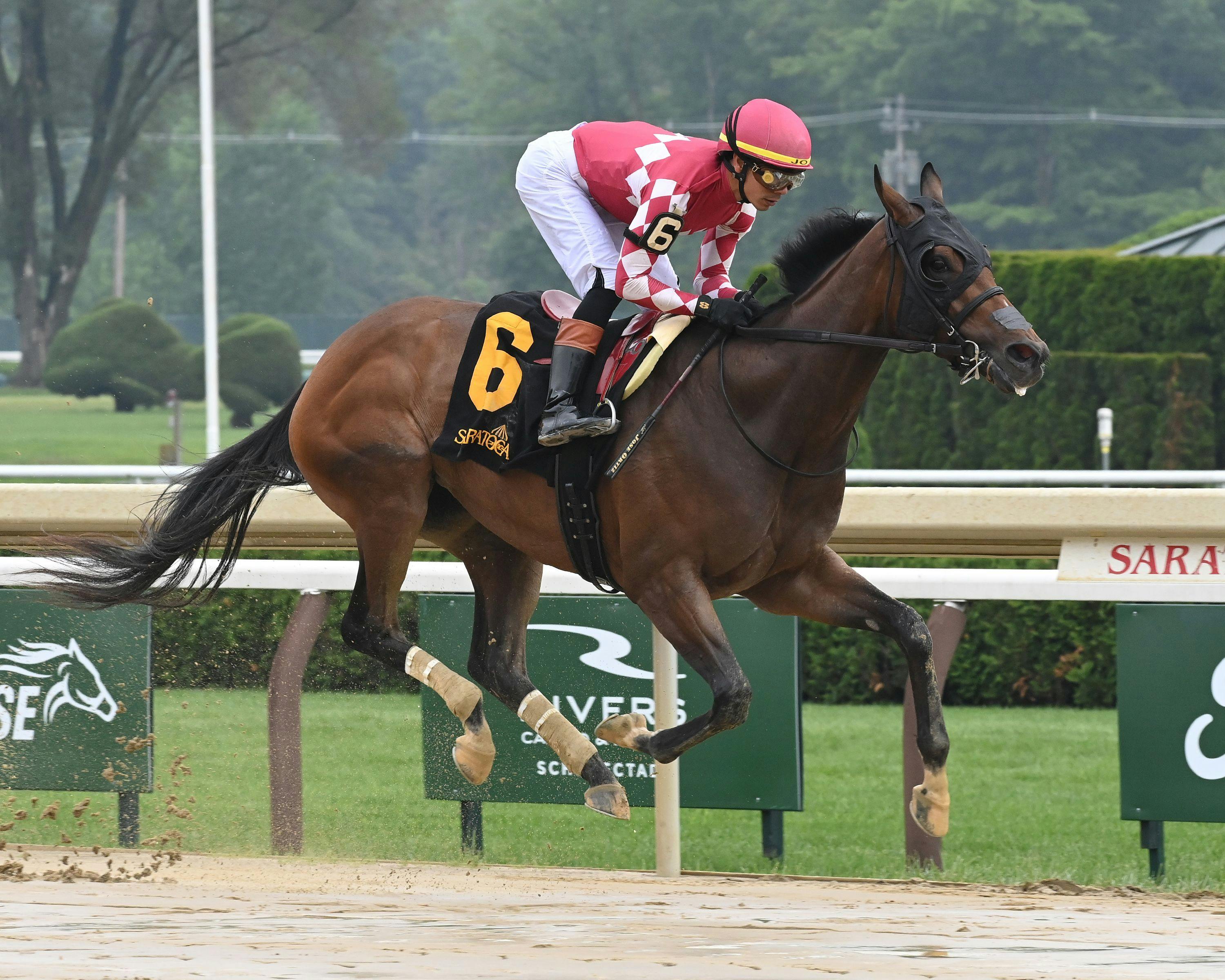 Nitrogen galloped in the off-the-turf Wonder Again