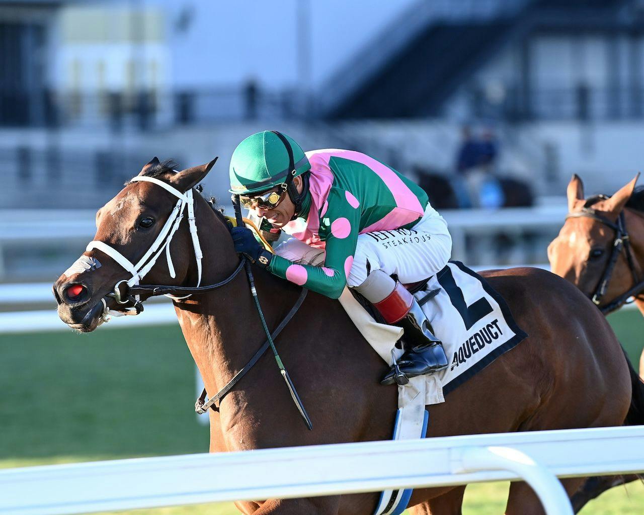 No Mo Candy wins the Pebbles Stakes at Aqueduct. 