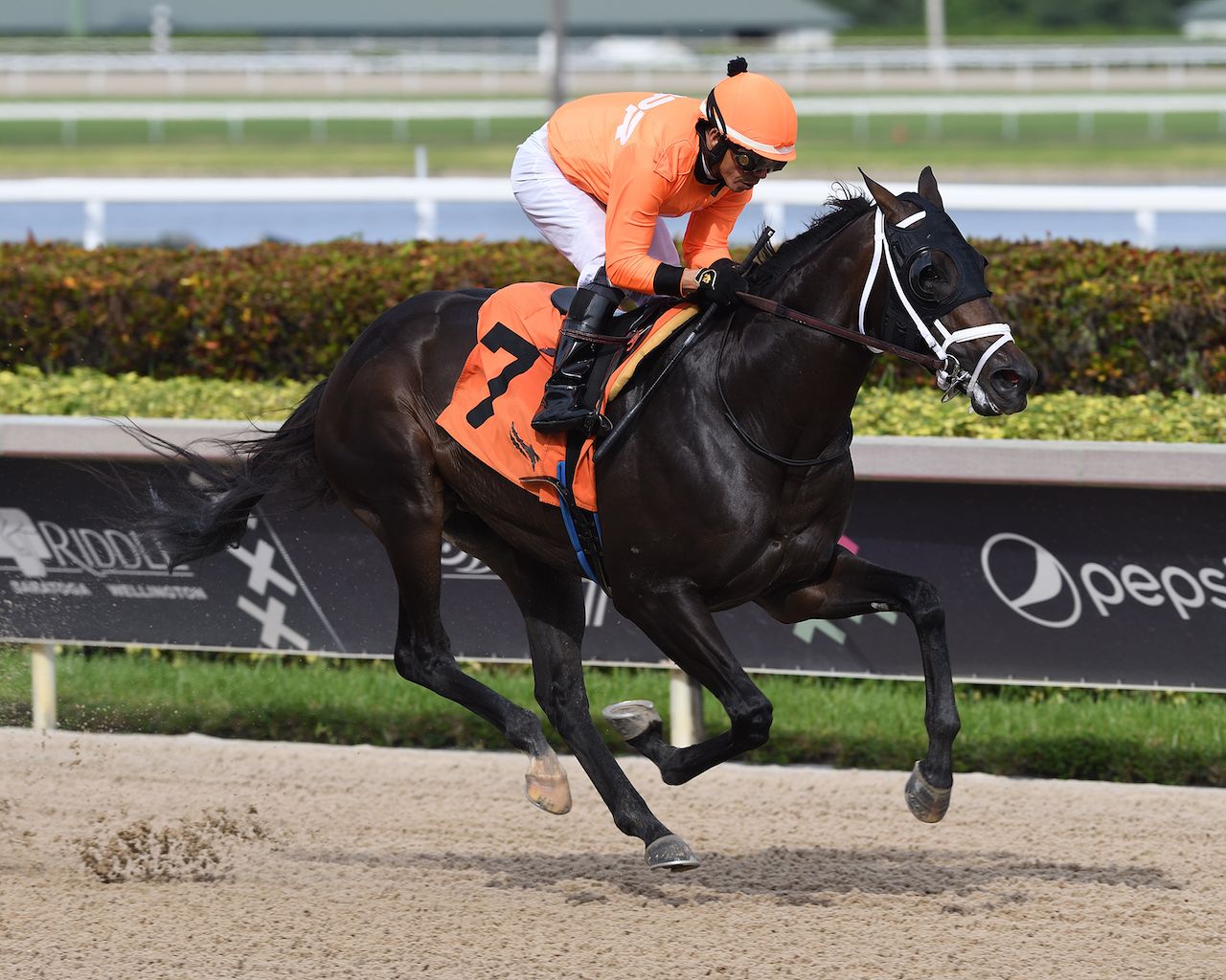 The 2024 Sam F. Davis Stakes Tipsheet | TwinSpires