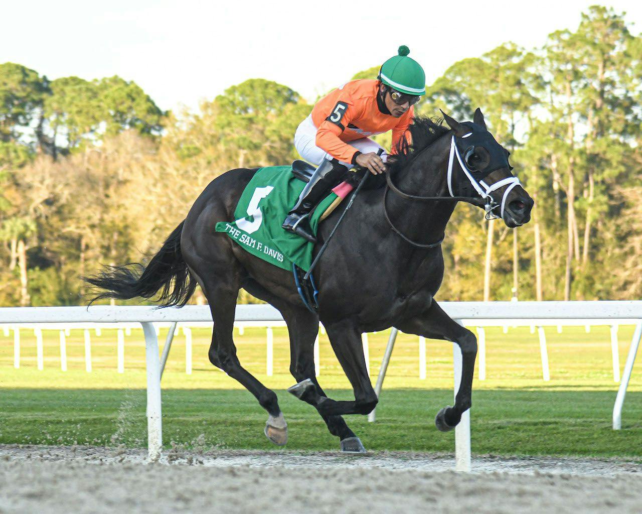 kentucky-derby-pedigree-profile-no-more-time-twinspires