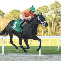 No More Time winning the Sam F. Davis (G3) at Tampa Bay Downs (Photo by SV Photography)
