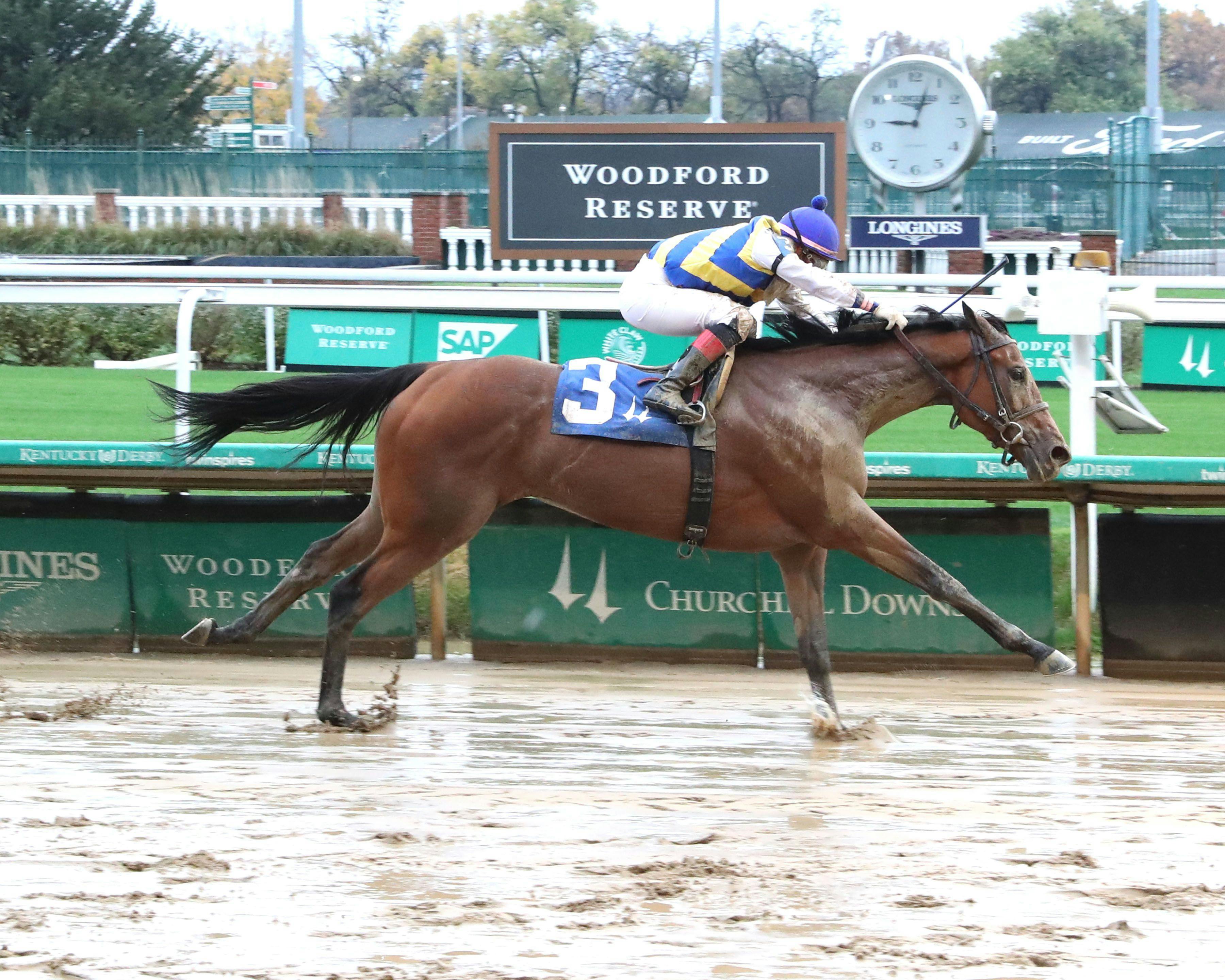 Nom de Plume wins a six-furlong allowance at Churchill Downs