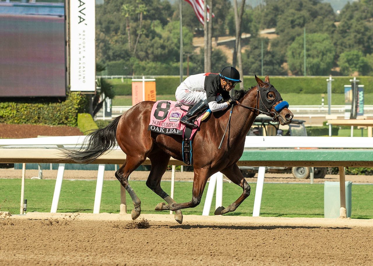 Non Compliant wins the Oak Leaf at Santa Anita.