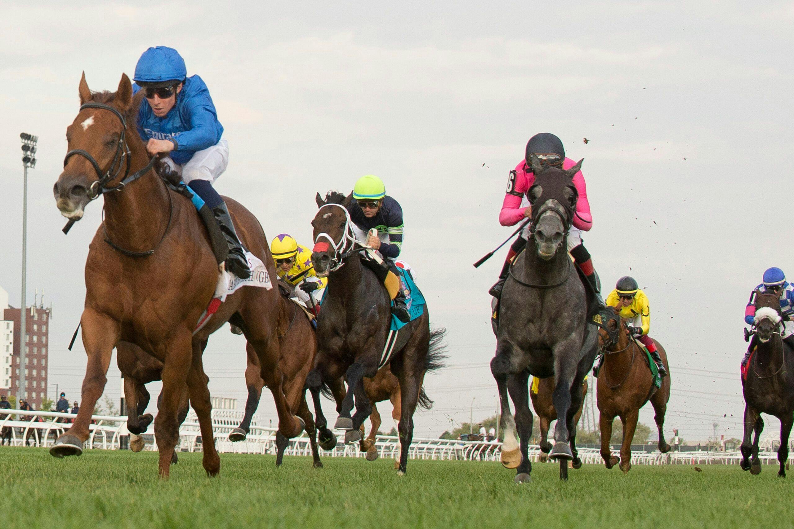 Racing Roundtable: RTKD, RTKO, and Breeders' Cup TwinSpires