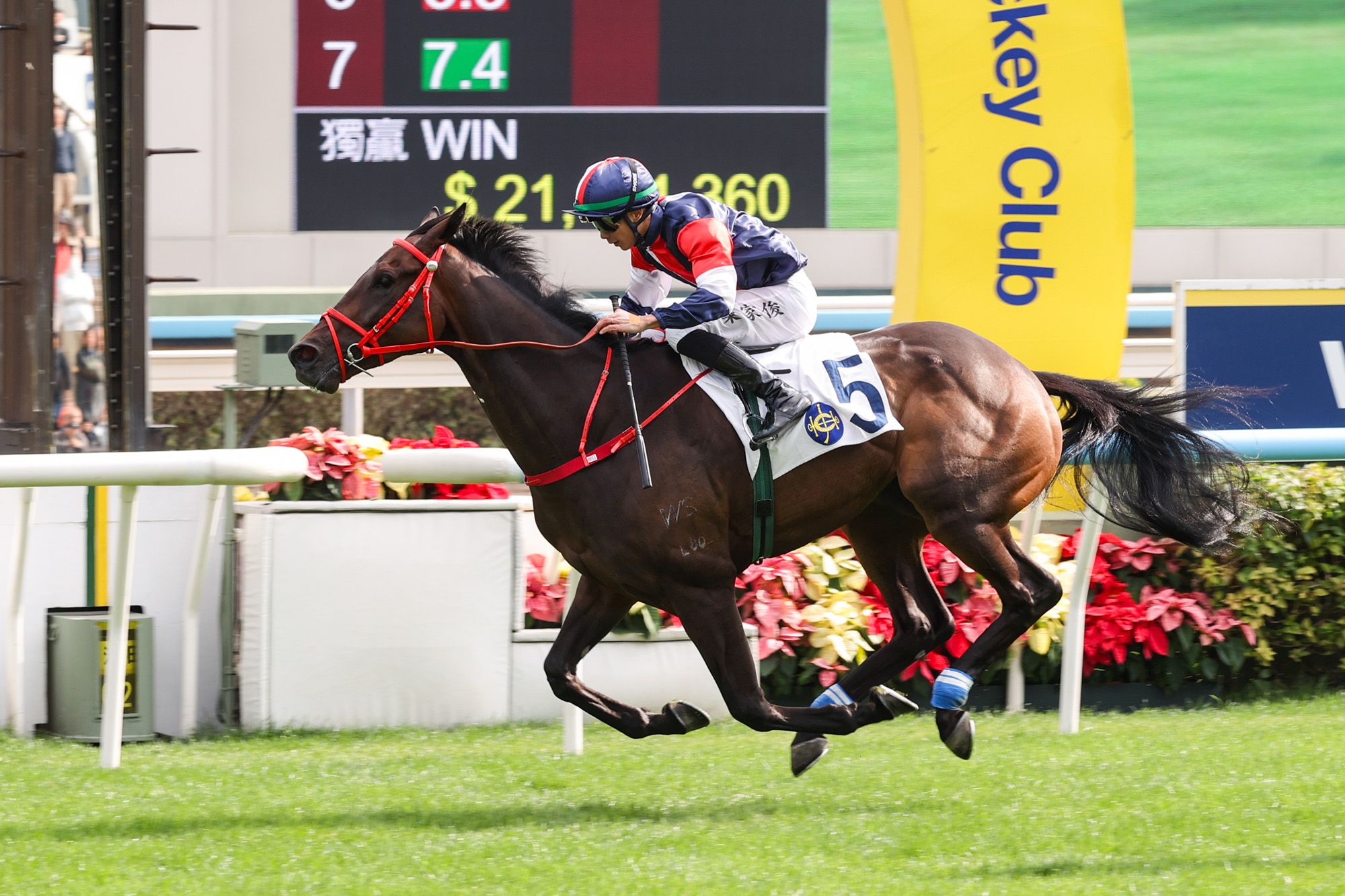 Numbers has emerged as a Hong Kong Derby prospect