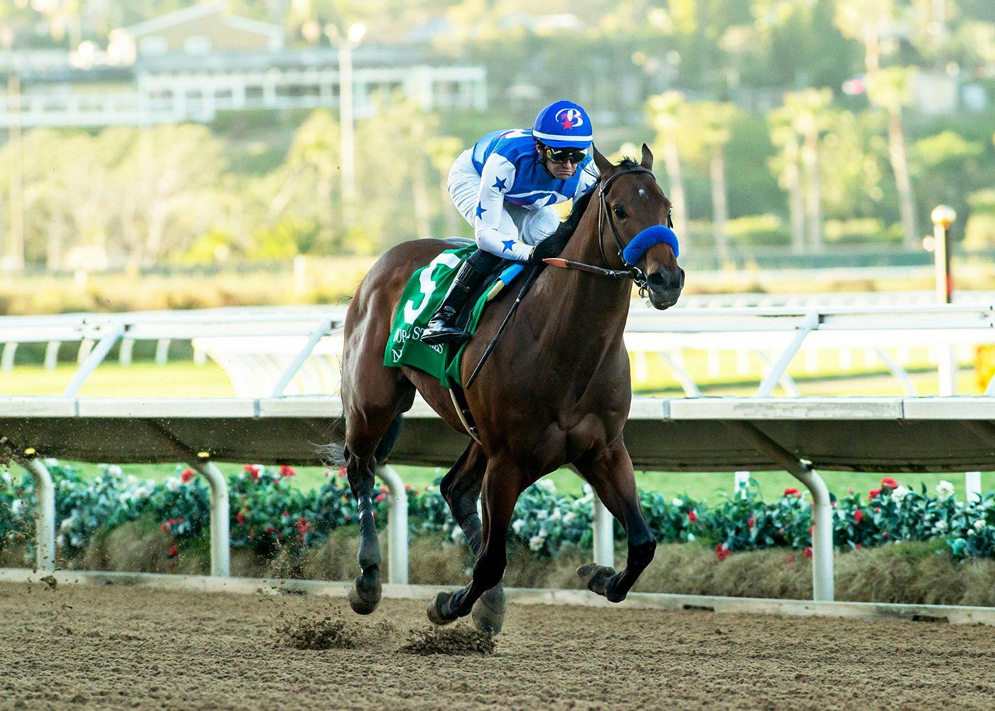 Nysos wins the Bob Hope (G3) at Del Mar (Photo by Benoit Photo)