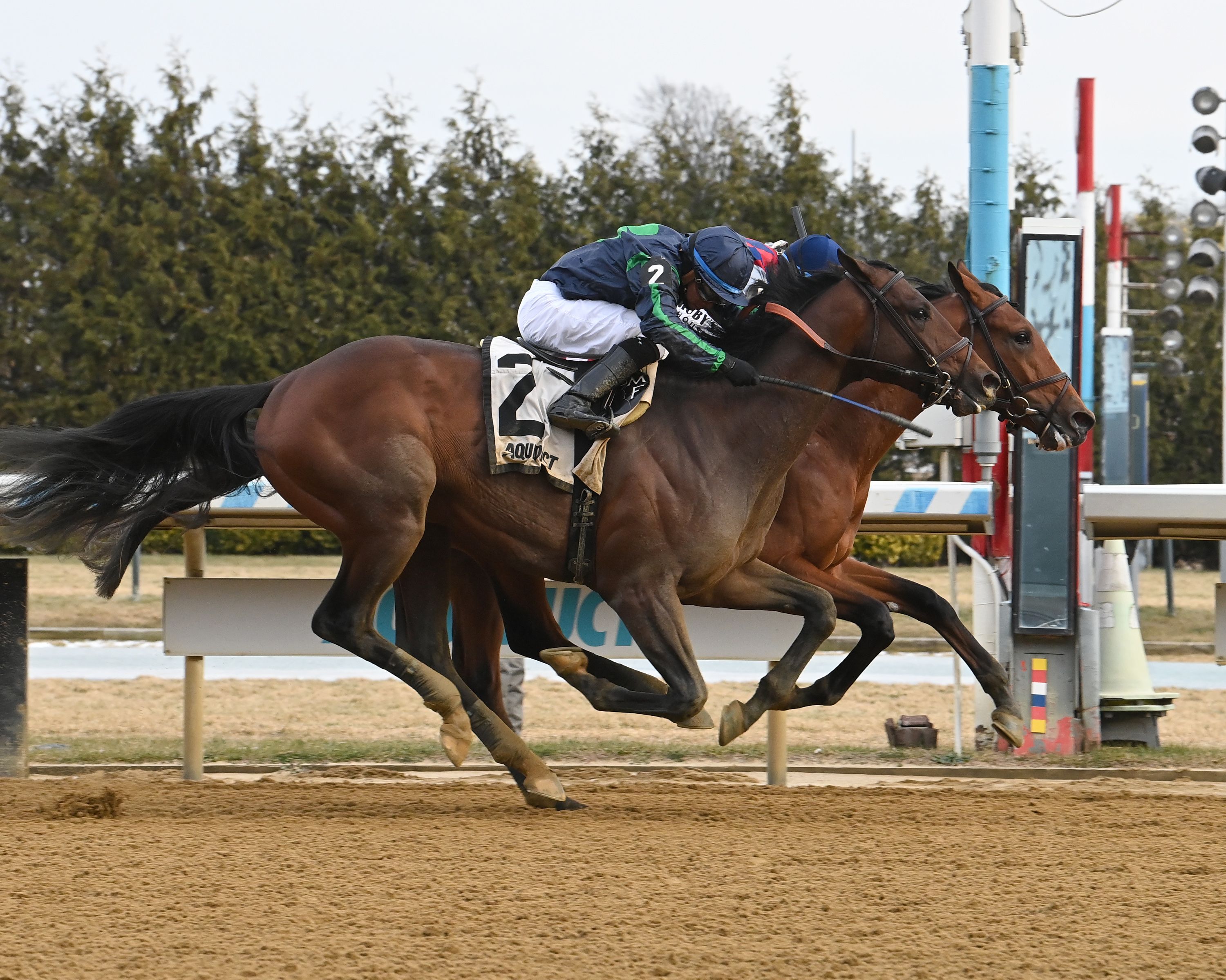 Ottinho breaking his maiden at Aqueduct