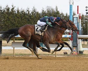 Ottinho breaking his maiden at Aqueduct