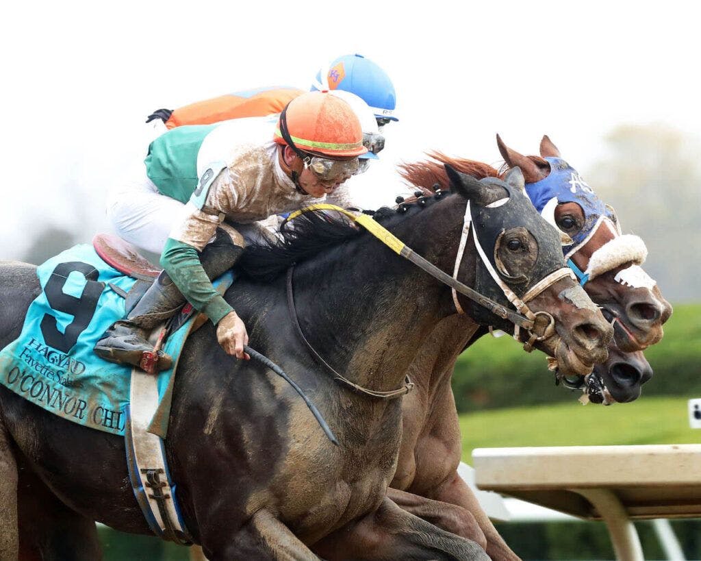 O'Connor (outside) gets up to win the Fayette (G2) at Keeneland (Photo by Coady Photography)