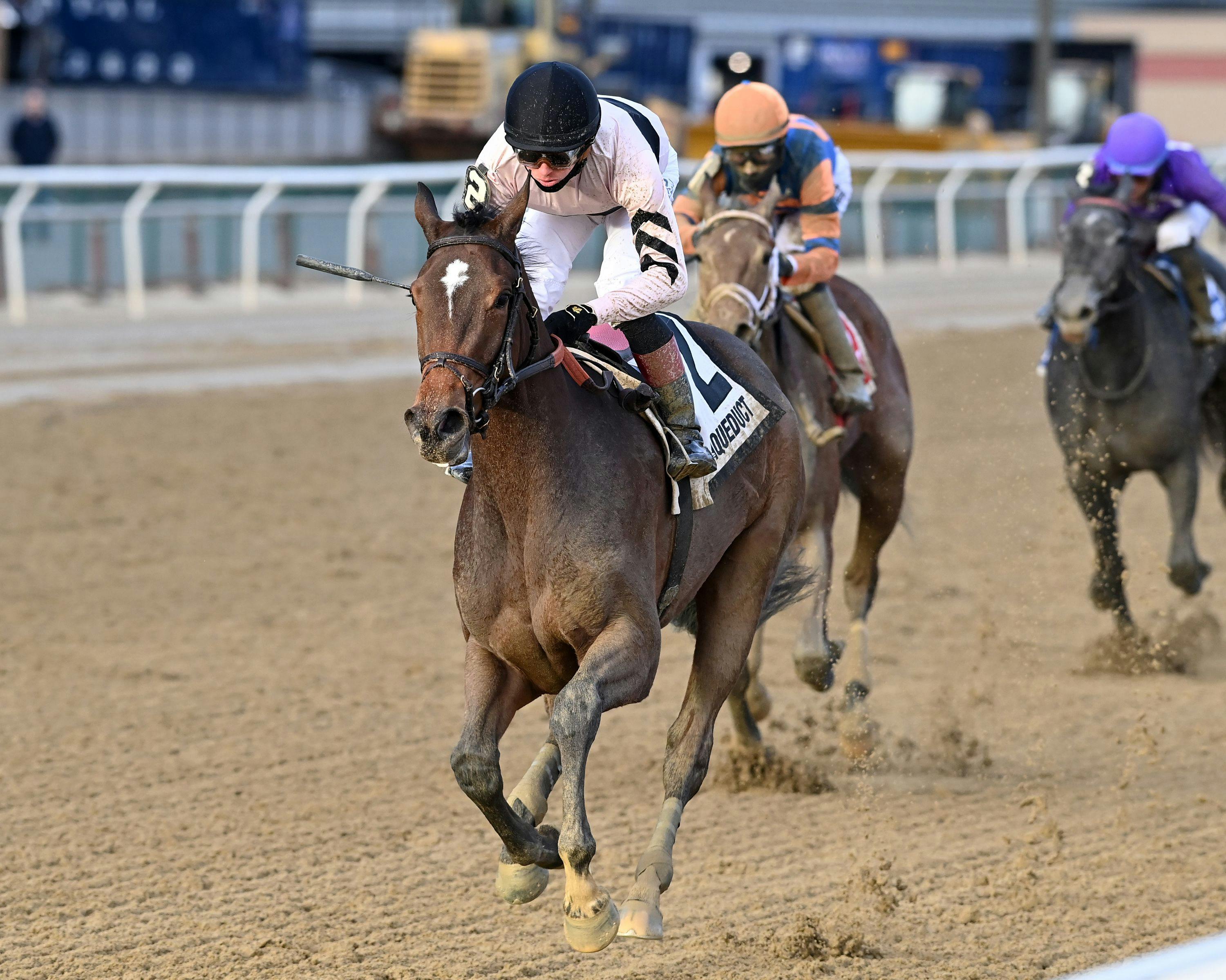 Occult the key in 2024 Serena’s Song Stakes TwinSpires