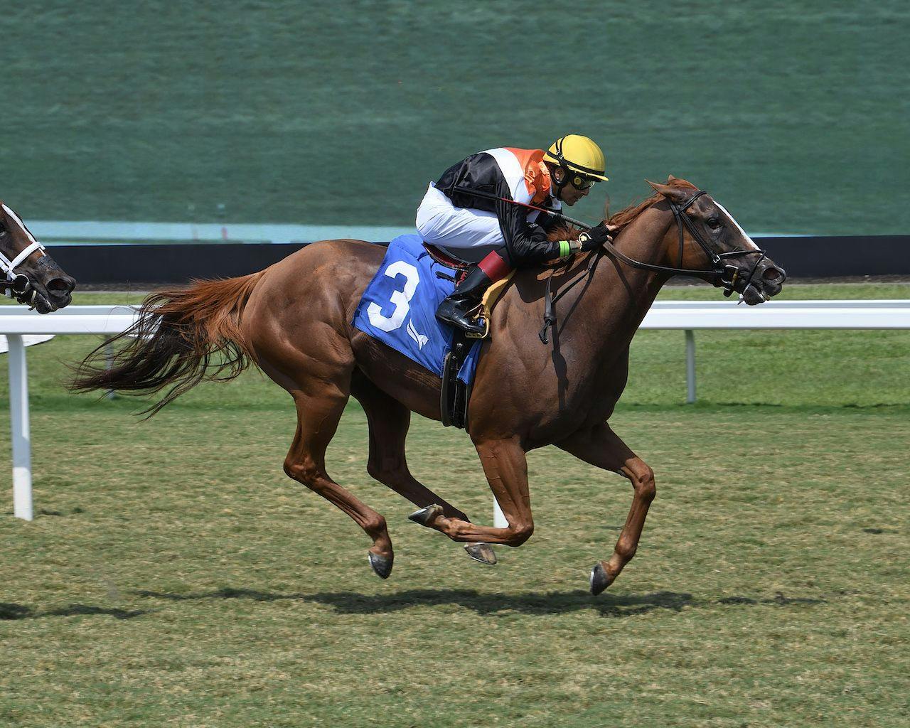 Ocean Club wins the Monroe