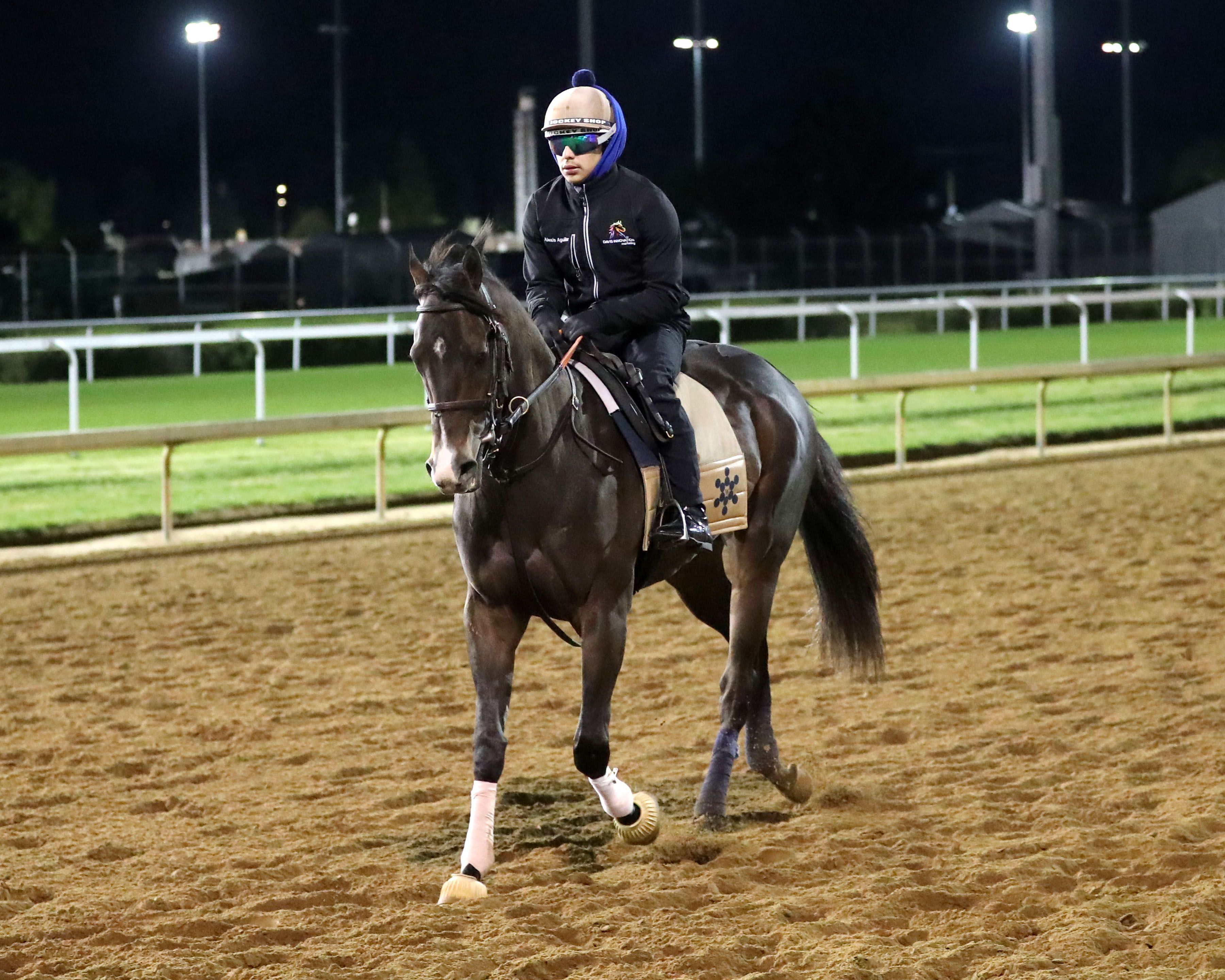 Ocelli training at Churchill Downs