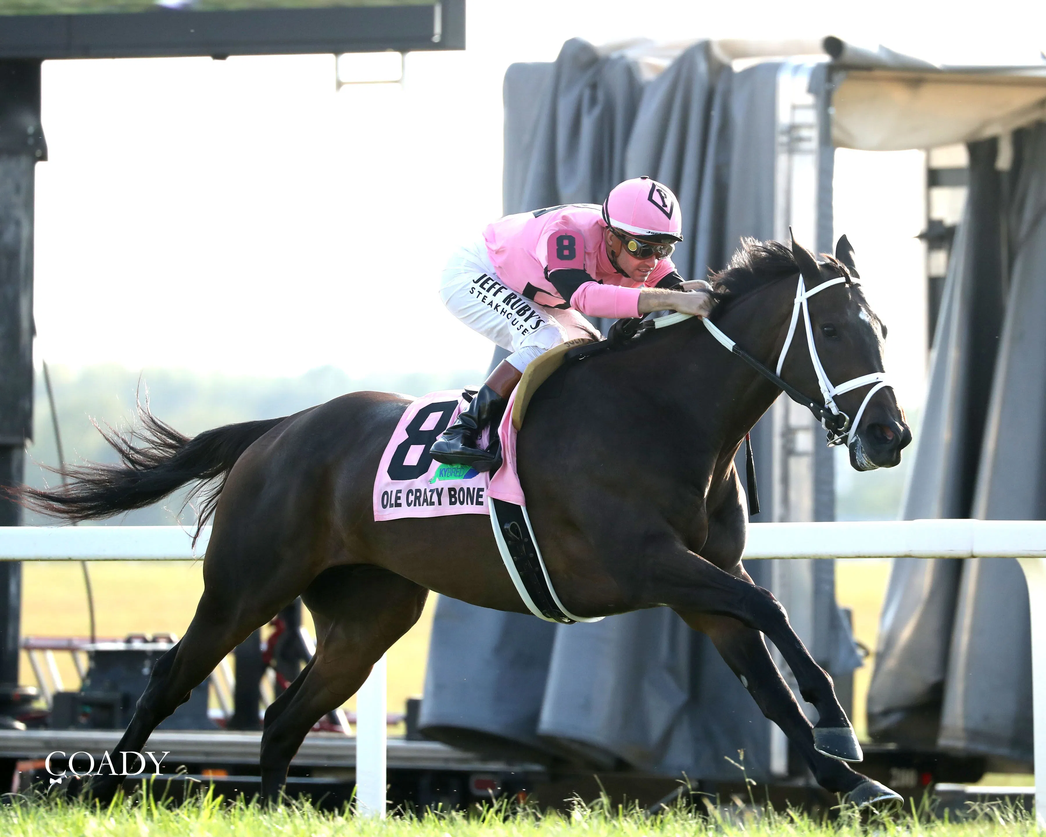 Ole Crazy Bone gave trainer Mike Maker a record sixth win in the Kentucky Turf Cup (G2)