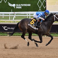 On Time Girls wins the Forward Gale at Gulfstream Park.