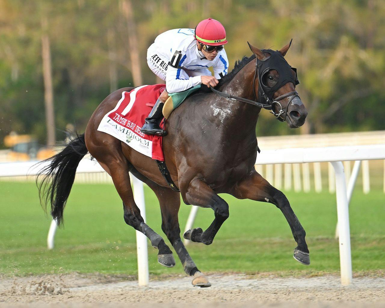 Owen Almighty winning the Tampa Bay Derby (G3) at Tampa Bay Downs (Photo by SV Photography)