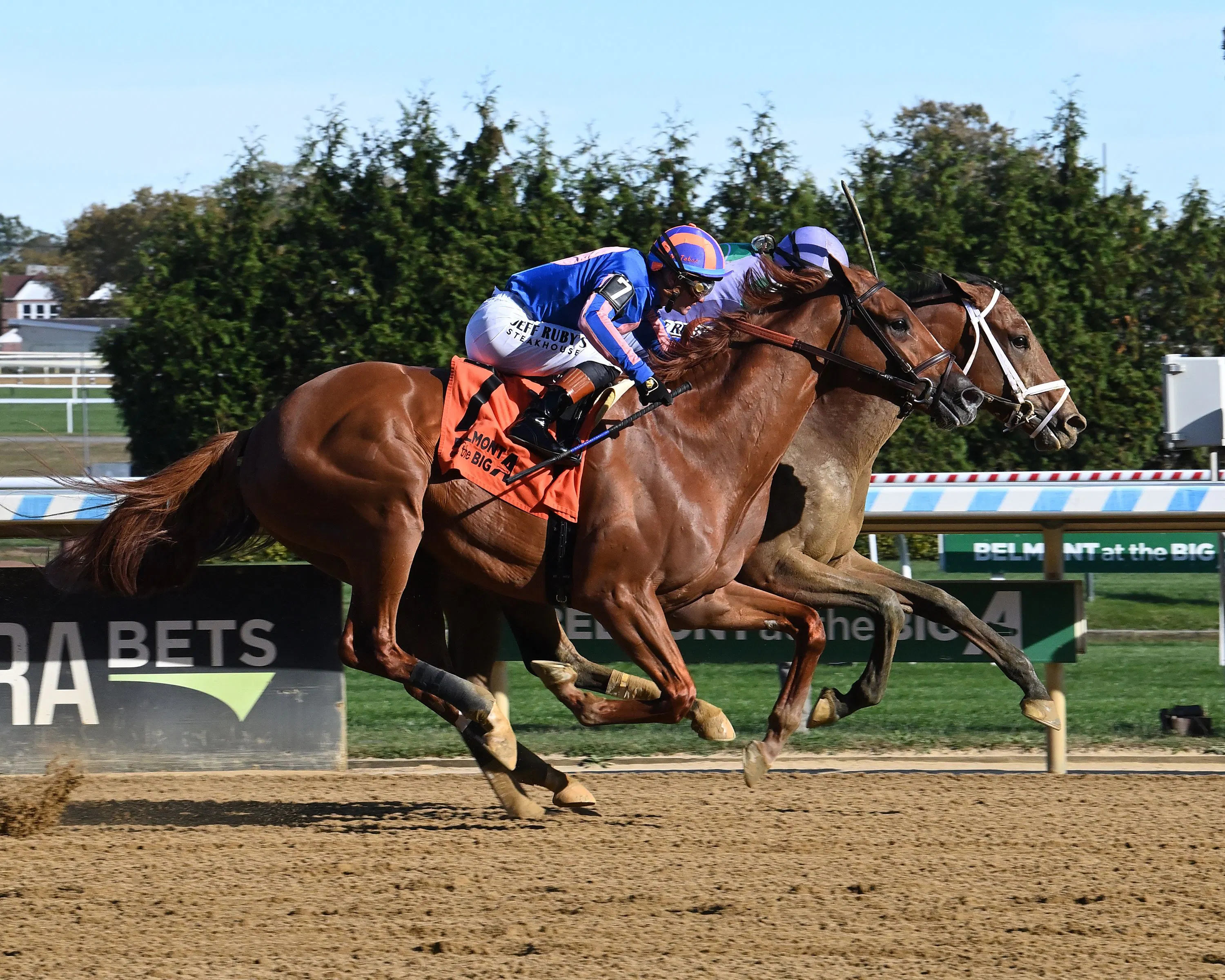 Meet the Contenders: 2025 Remsen Stakes | TwinSpires