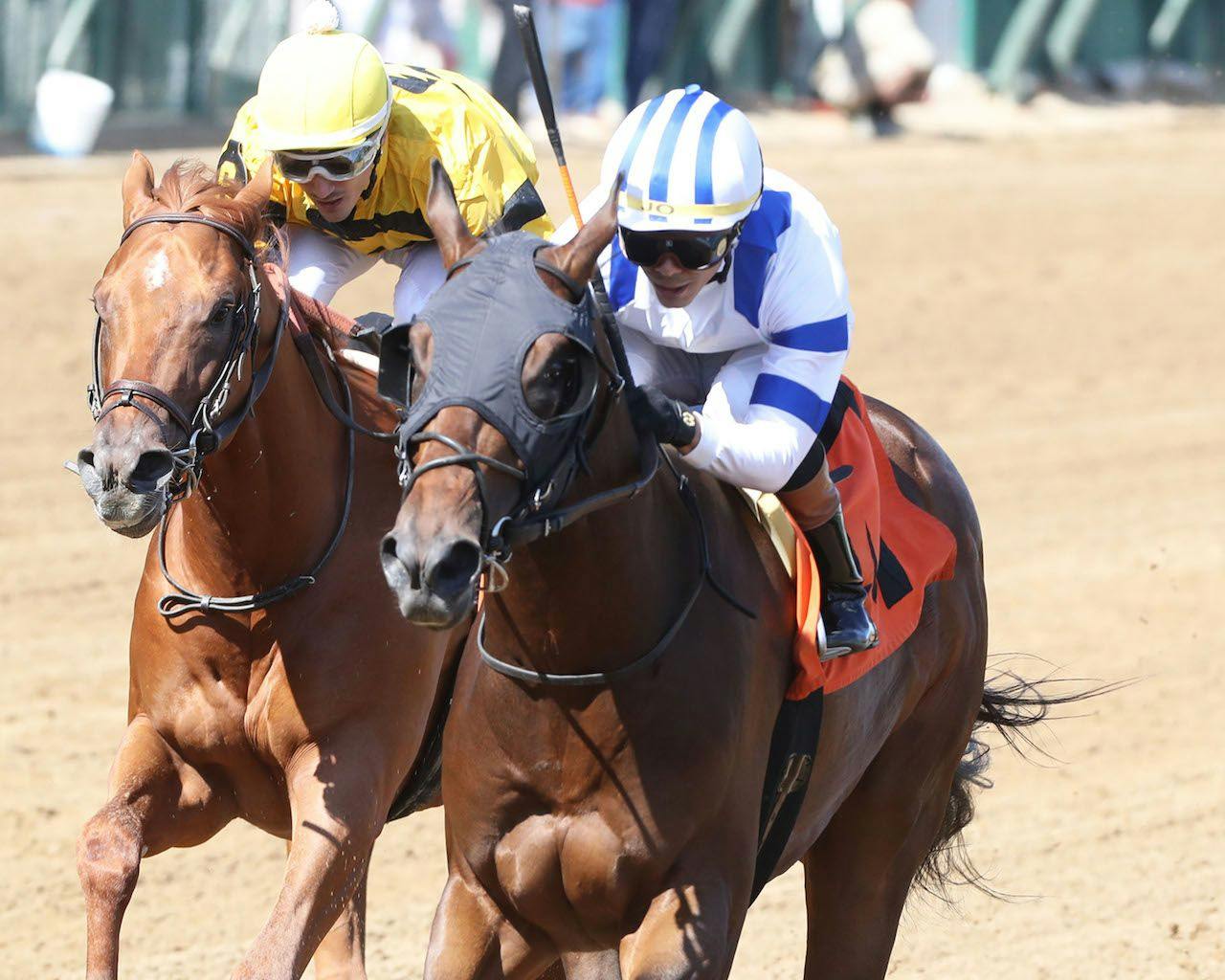  Politicallycorrect wins at Churchill Downs with Smoken Wicked in second. 