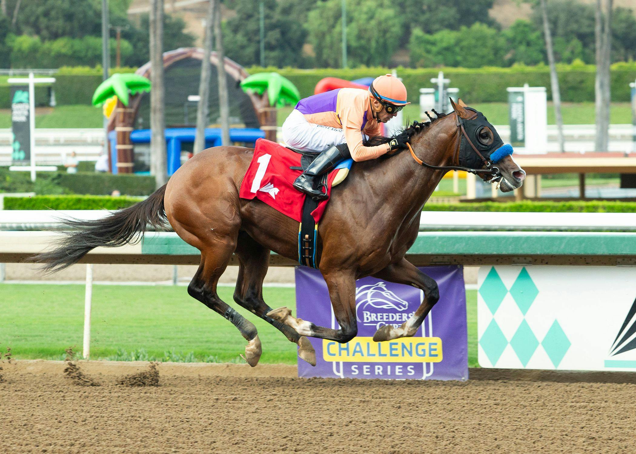 Provenance wins at Santa Anita.