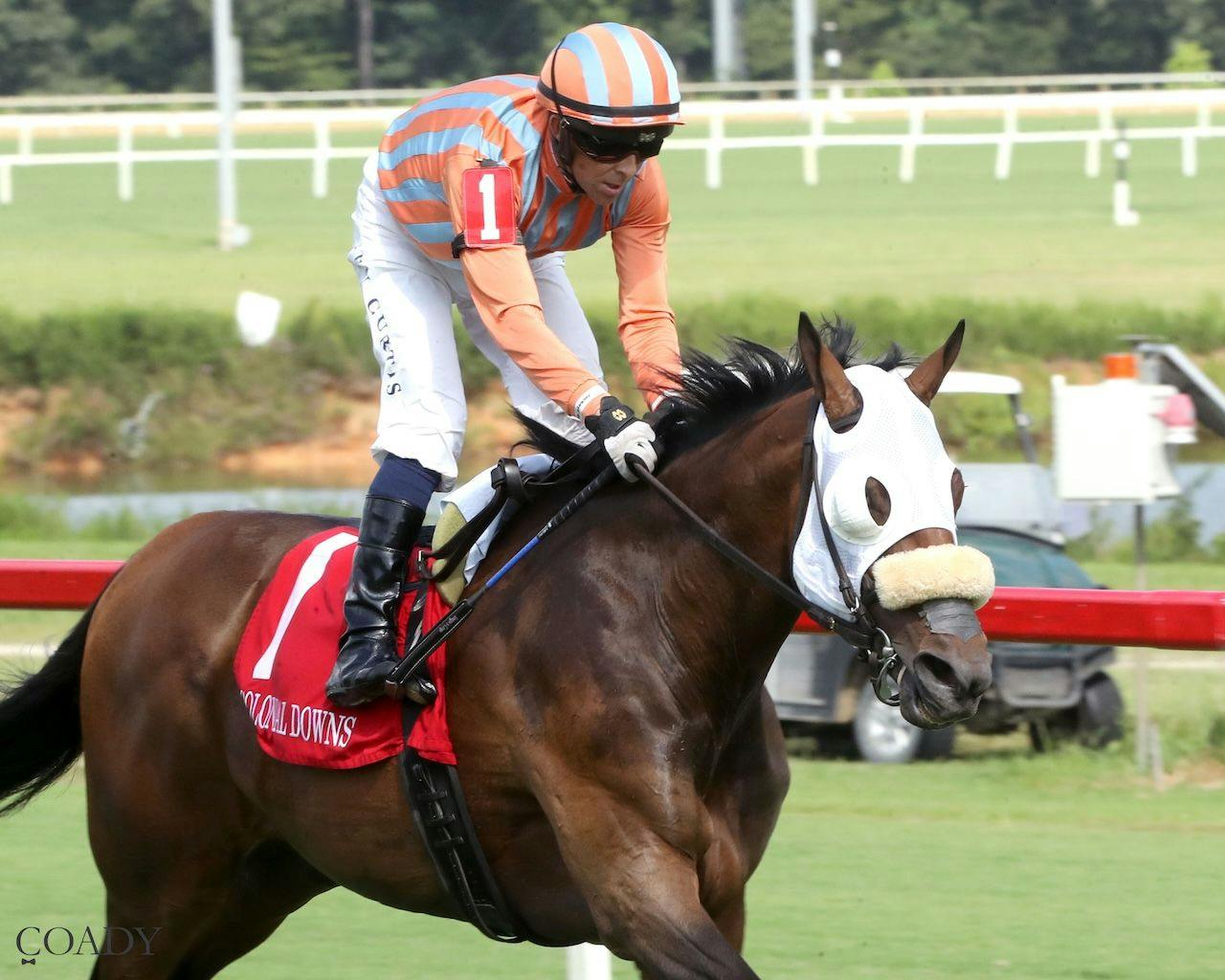 Public Defender wins at Colonial Downs (Photo by Coady Media)