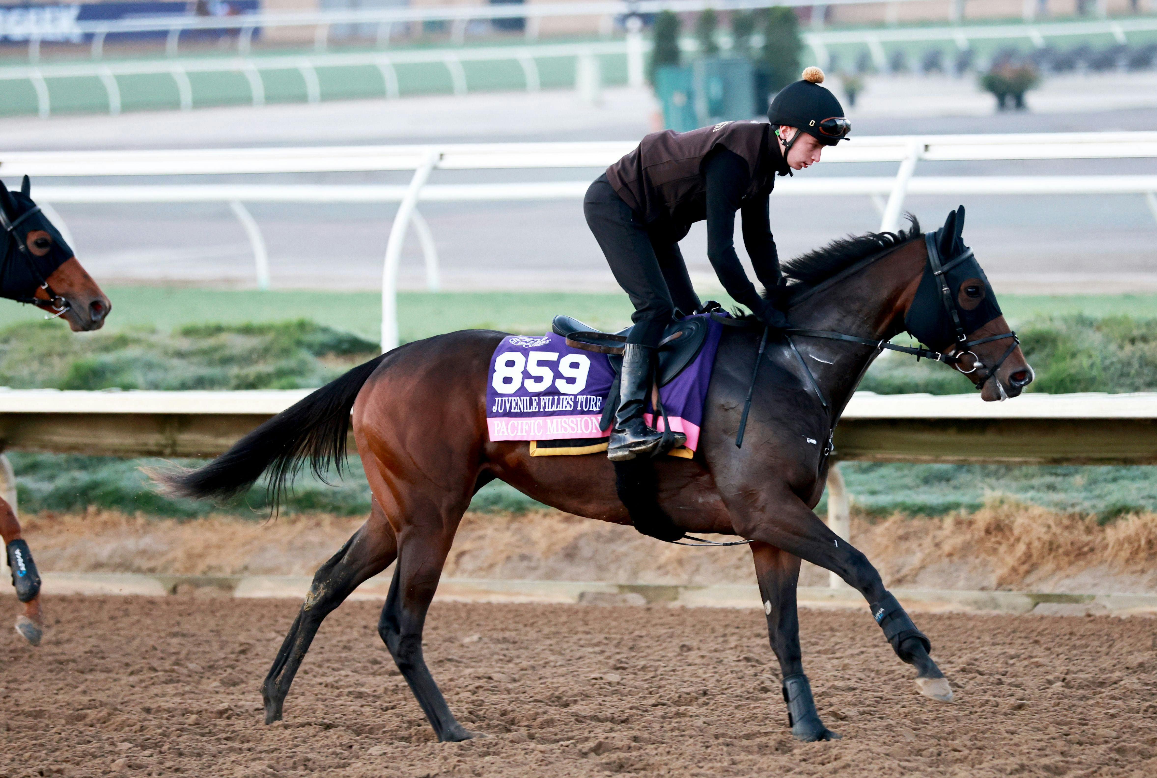 Pacific Mission trains for the 2025 Breeders' Cup at Del Mar (Photo by Horsephotos.com)