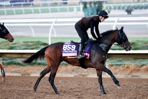 Pacific Mission trains for the 2025 Breeders' Cup at Del Mar (Photo by Horsephotos.com)
