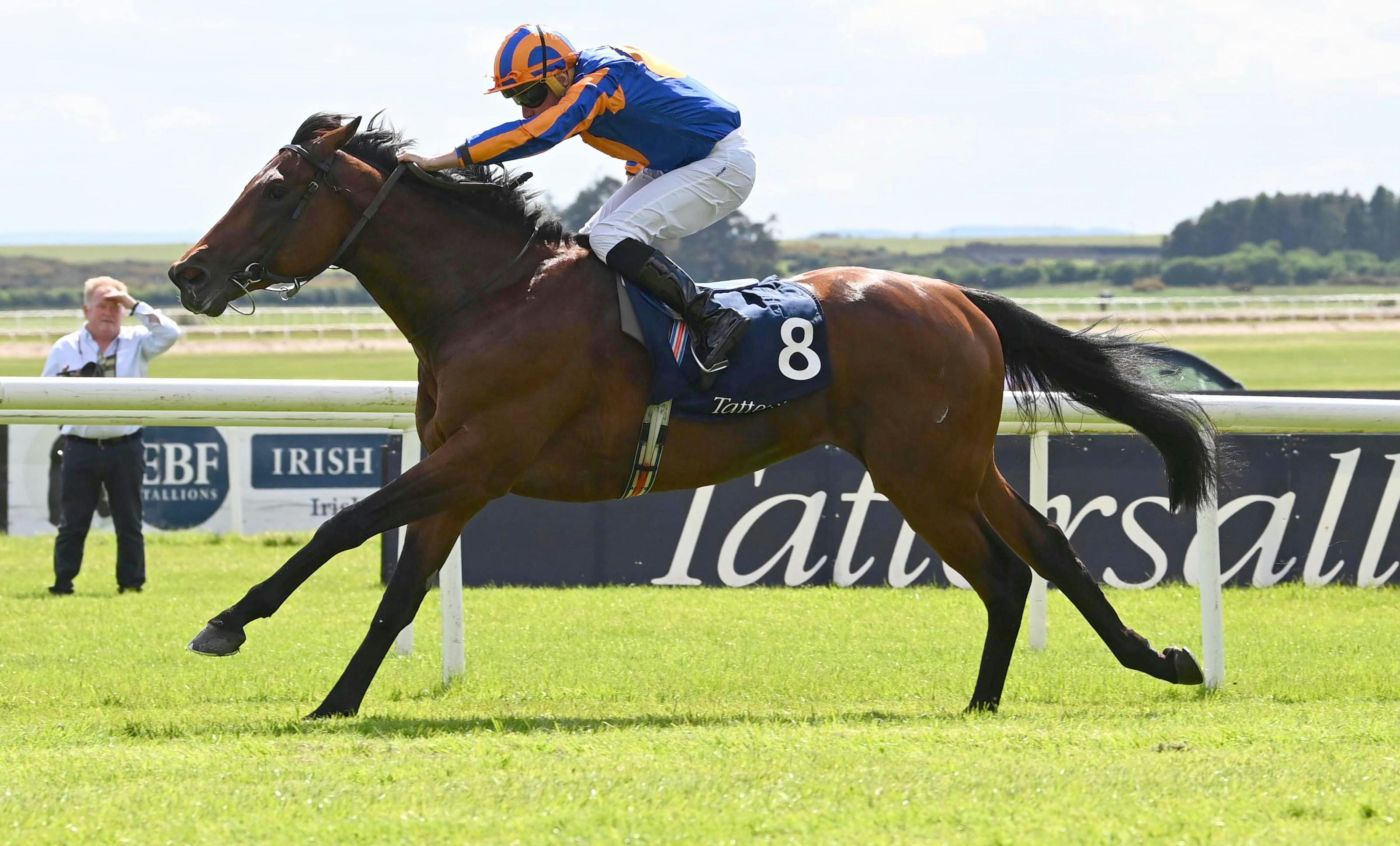 2024 Irish 2000 Guineas Day A 501 shot to consider TwinSpires