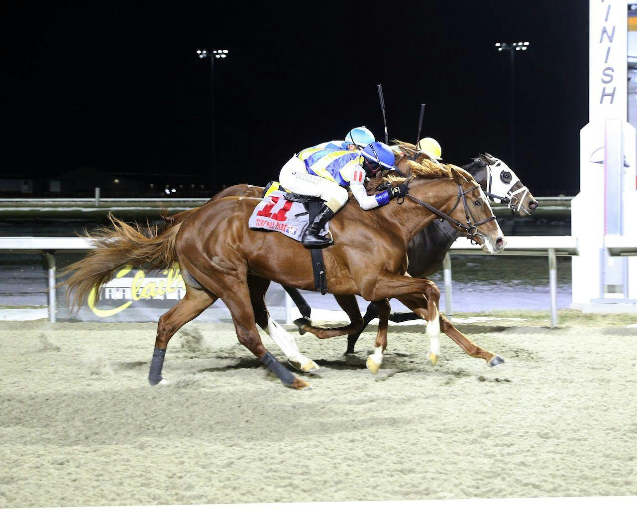 Pagode wins at Turfway Park. 