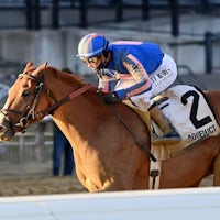 Paladin wins the Remsen Stakes at Aqueduct.