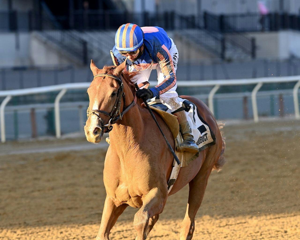 Paladin wins the Remsen Stakes at Aqueduct. 