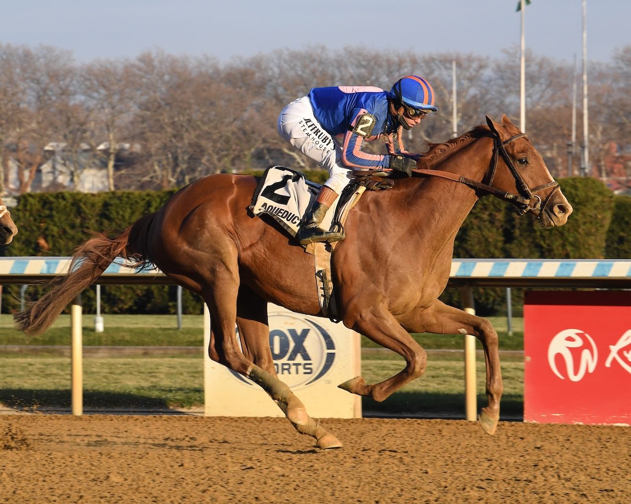 Paladin wins the Remsen Stakes at Aqueduct. 