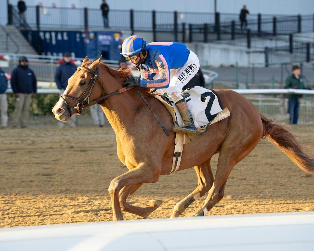 Paladin wins the Remsen Stakes at Aqueduct. 