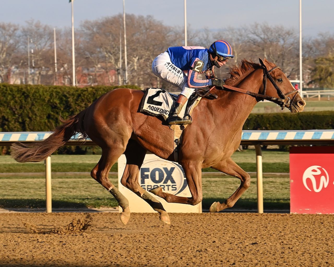 Paladin wins the Remsen Stakes at Aqueduct. 