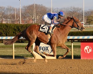 Paladin wins the Remsen Stakes at Aqueduct.
