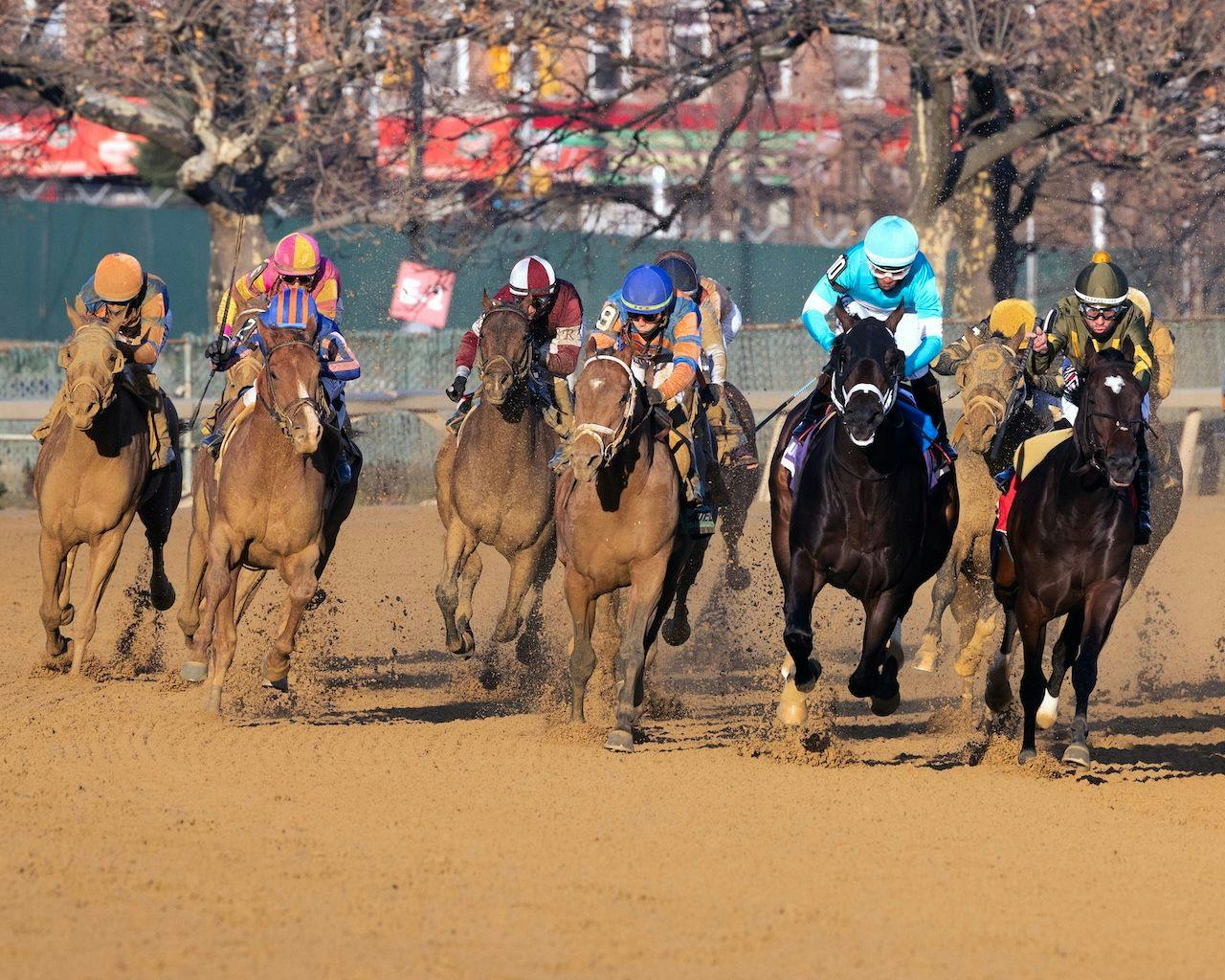 Paladin wins the Remsen Stakes at Aqueduct. 
