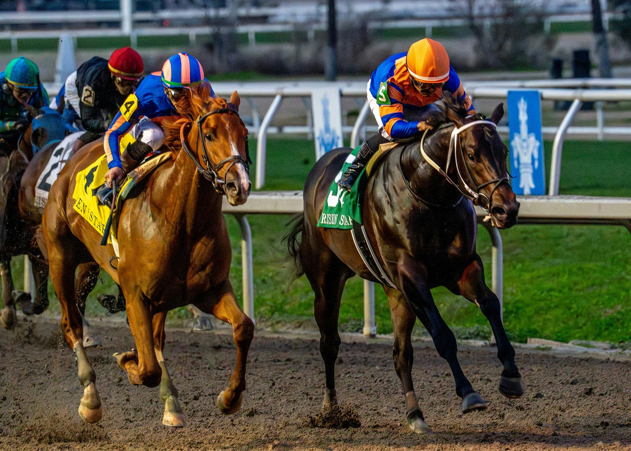 Paladin wins the Risen Star Stakes at Fair Grounds. 