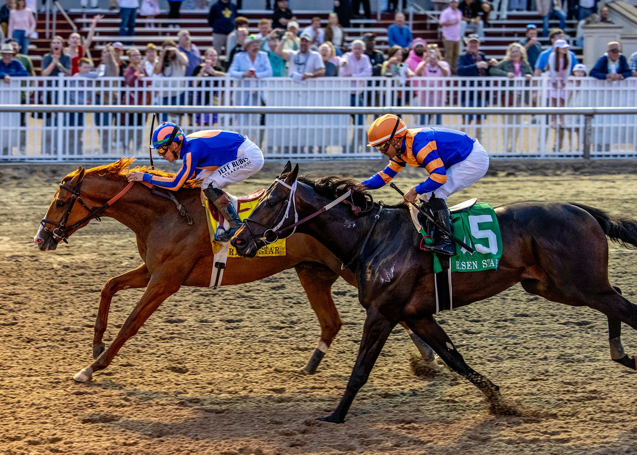 Paladin wins the Risen Star Stakes at Fair Grounds. 