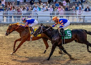 Paladin wins the Risen Star Stakes at Fair Grounds.
