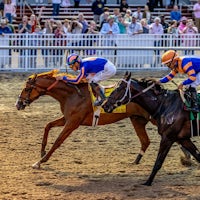 Paladin wins the Risen Star Stakes at Fair Grounds.